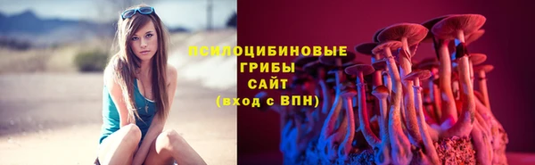 молекула духа Армянск