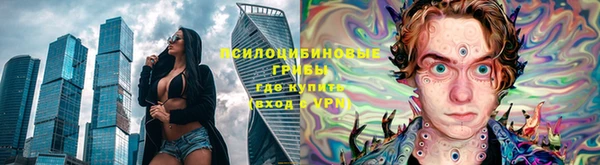 герыч Арсеньев