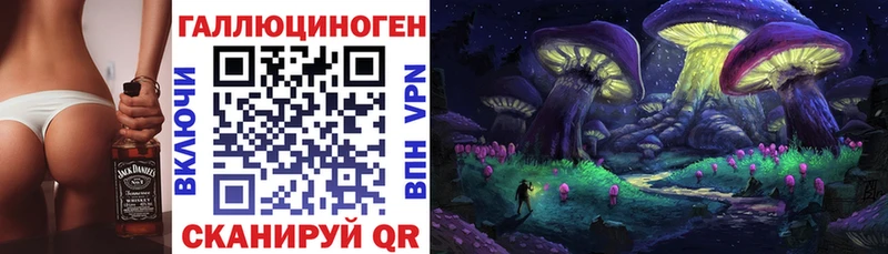 Псилоцибиновые грибы Psilocybe  omg как зайти  Петровск 