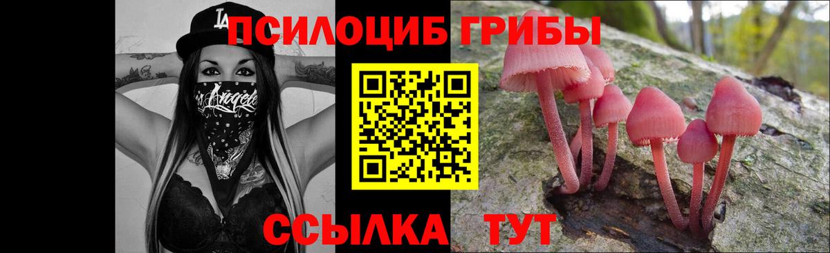 Псилоцибиновые грибы мицелий Петровск